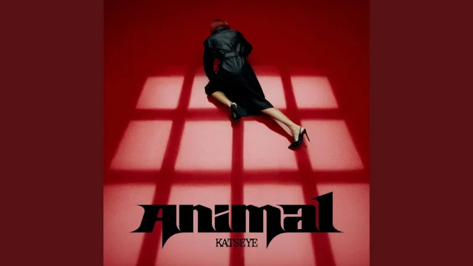 KATSEYE - Animal