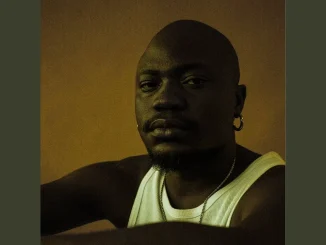 Marcus Harvey - Mmangwane