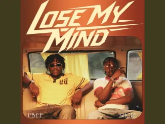 PBee - Lose My Mind Ft. siicie