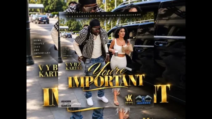 RushawnMuzik - Vybz Kartel You're Important