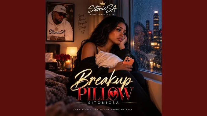 SitonicSA - Breakup Pillow