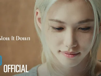 Stray Kids - Felix Slow It Down